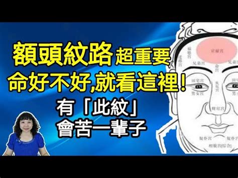 額頭紋相學|【額頭紋相學】快「紋」到你的好運！揭密額頭紋相學，掌握你的。